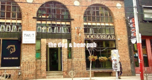 the dog & bear pub
